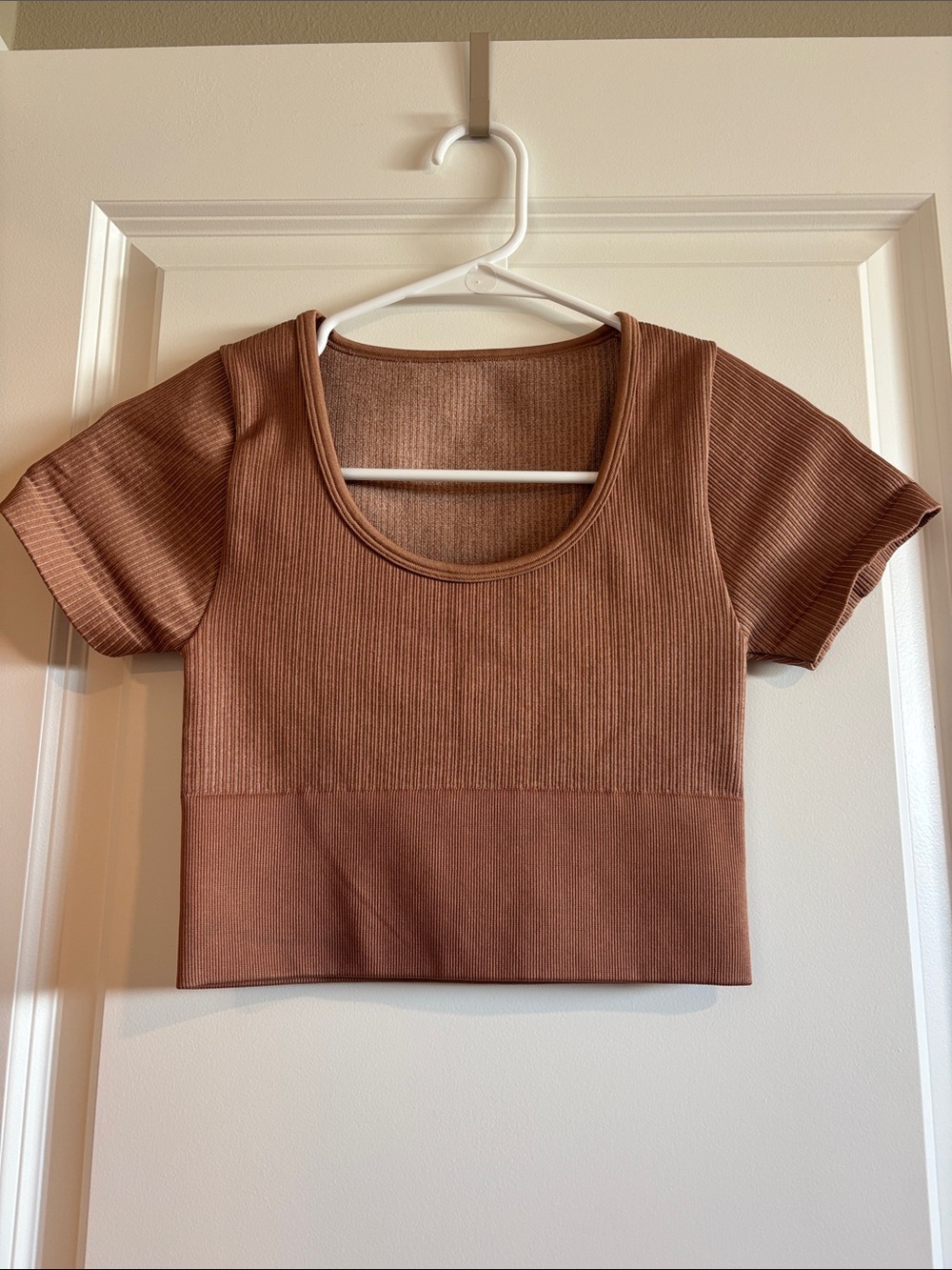 Ribbed Short Sleeve Crop Top - Brown